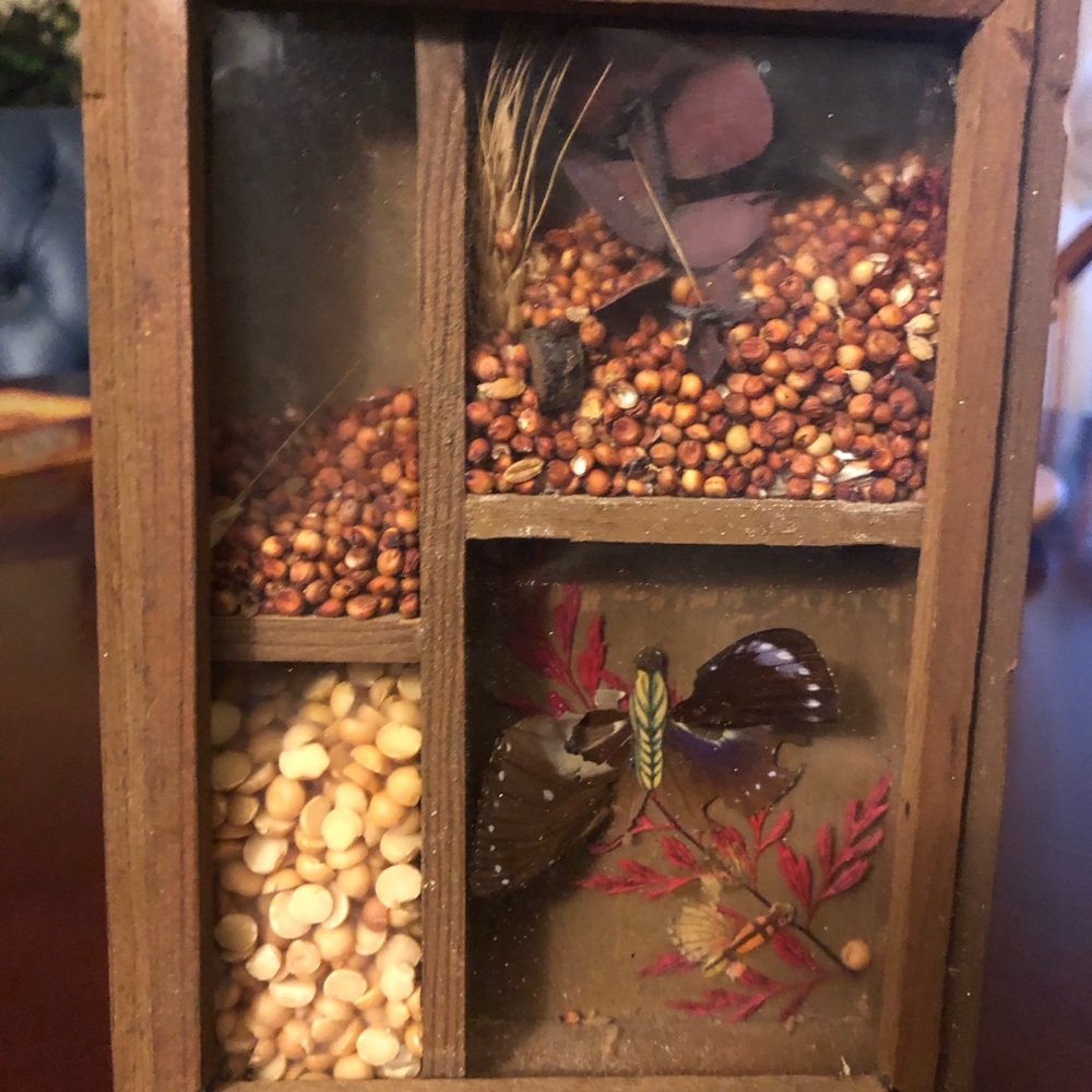 Seed Wheat Butterfly Shadow Box
